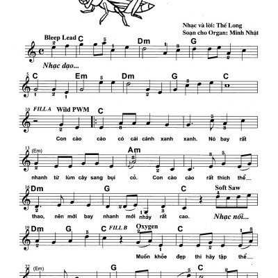 Thực Hành Biểu Diễn Organ Cho Thiếu Nhi – Tập 2