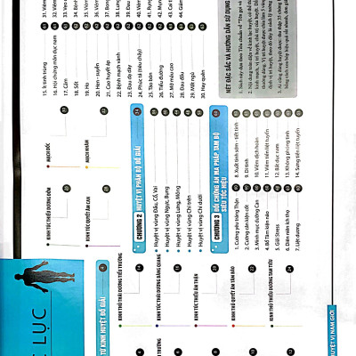 Đồ Giải Kinh Lạc Huyệt Vị - Nam Giới