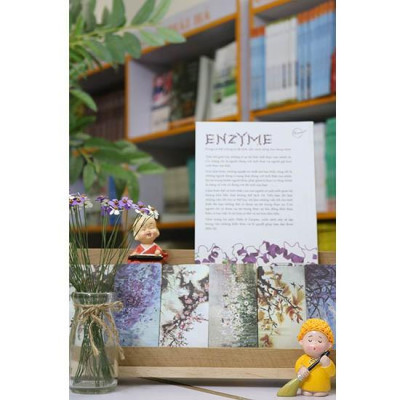 Sách - Nhân Tố Enzyme - Trẻ Hóa ( Tặng Postcard bốn mùa )