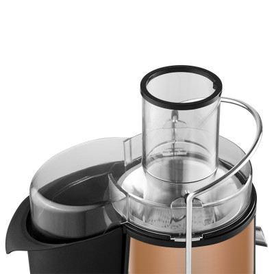 Máy Ép Trái Cây Bluestone JEB-6545 (850W) - Hàng chính hãng