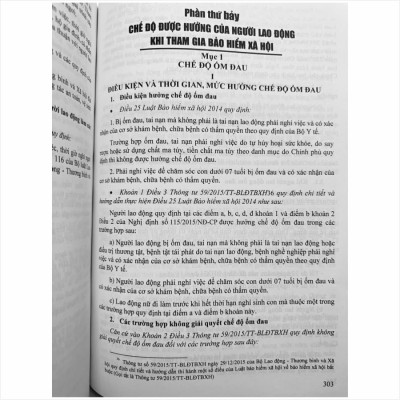 Sách Bộ Luật Lao Động Và Hệ Thống Thang Bảng Lương, Phụ Cấp, Chế Độ Tiền Thưởng Đối Với Người Hưởng Lương Làm Việc Trong Các Cơ Quan, Đơn Vị Và Doanh Nghiệp (V2458T)