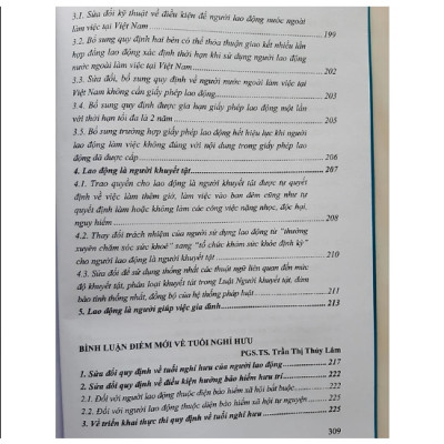 Sách - Bình luận những điểm mới của Bộ luật lao động năm 2019