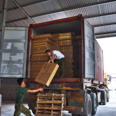 Thảm 1 lớp Macsim 3w Toyota LAND CRUISER 2024 4 SEATS