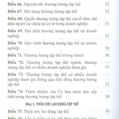 Bộ Luật Lao Động Và Văn Bản Hướng Dẫn Thi Hành