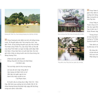 Nghệ Thuật Việt Nam - Bìa Cứng