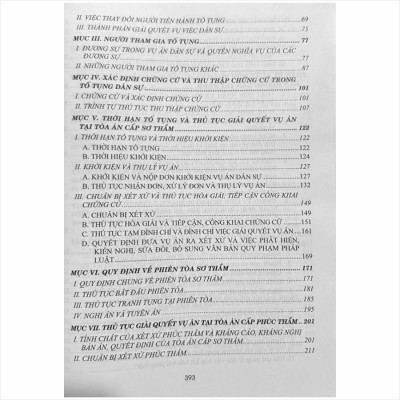 Sách Hỏi - Đáp Các Tình Huống Pháp Luật Về Hôn Nhân Và Gia Đình - Chế Độ Tài Sản, Các Hành Vi Bị Xử Phạt Vi Phạm Hành Chính Trong Lĩnh Vực Hôn Nhân Và Gia Đình - V2083D