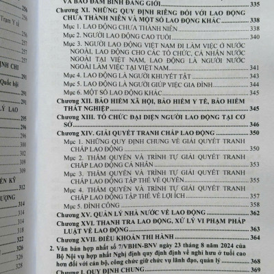 Sách Luật Bảo Hiểm Xã Hội, Bảo Hiểm Y Tế, Bộ Luật Lao Động – Hệ Thống Các Văn Bản Quy Định Chi Tiết Thi Hành (V2569T)