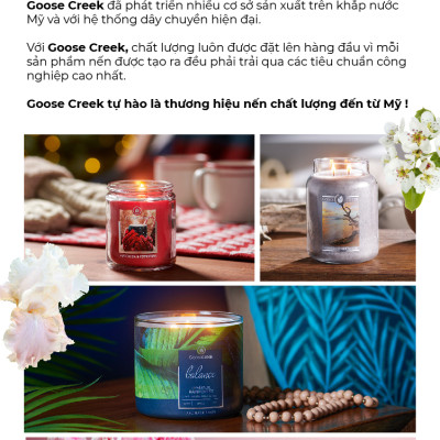 Nến ly 3 bấc Aromatherapy Goose Creek (411g) - Tranquil Rainforest