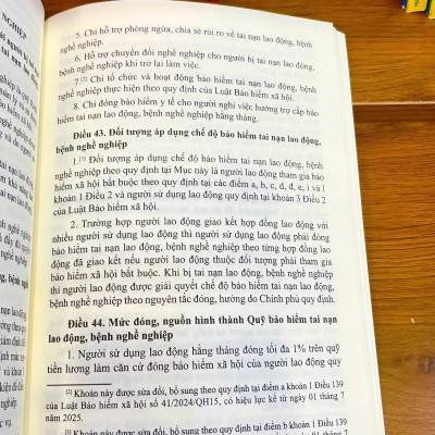 Sách - Luật An Toàn, Vệ Sinh Lao Động (Sửa đổi, bổ sung năm 2024) - ndbooks