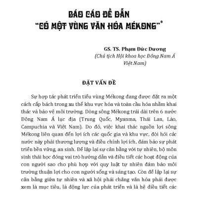 Có Một Vùng Văn Hóa MeKong