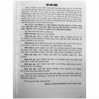 Sách Bộ Luật Lao Động Và Hệ Thống Thang Bảng Lương, Phụ Cấp, Chế Độ Tiền Thưởng Đối Với Người Hưởng Lương Làm Việc Trong Các Cơ Quan, Đơn Vị Và Doanh Nghiệp (V2458T)
