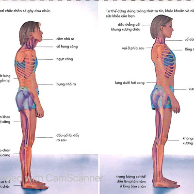 Sách Lò Xo - 15 Phút Tập Lưng (Kèm 1 DVD)