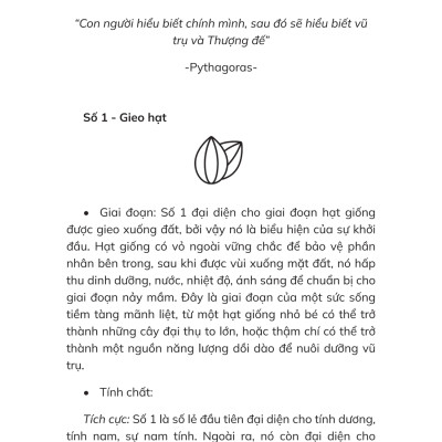 Thần Số Học Chữa Lành