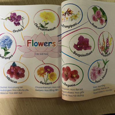 Bé Học Tiếng Anh Combo 2 Cuốn 1001 Mẫu Câu Tiếng Anh Giao Tiếp Thông Dụng Và Chinh Phục Từ Vựng Tiếng Anh Theo Sơ Đồ Tư Duy Mind Map (Kèm file nghe giọng chuẩn)