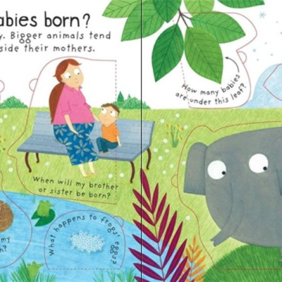 Sách - Anh:  First Questions and Answers: Where do babies come from?