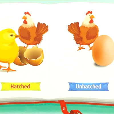 Những Cặp Từ Vựng Trái Nghĩa Và Trò Chơi Ghép Chữ - Opposite Words In Pictures (Tập 2)