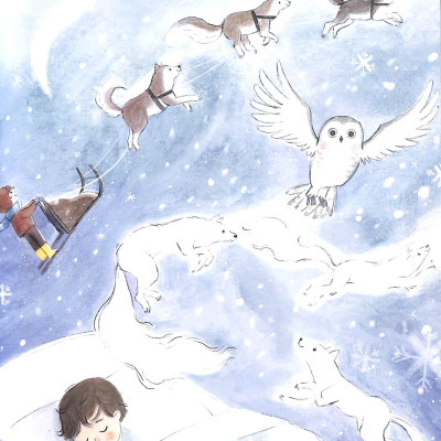 Where Björn Belongs (Paperback)