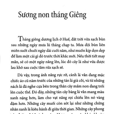 Giọt Mực Của Mưa Huế