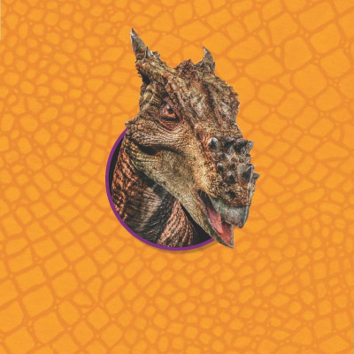 1,000 Facts About Dinosaurs, Fossils, And Prehistoric Life