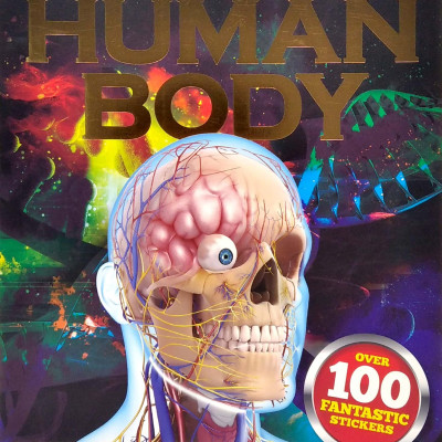 Primary Explorers: Human Body