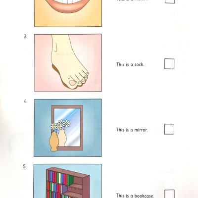 Cambridge Young Learner English Test Starters 8: Student Book