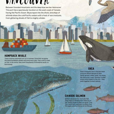 Wild City: Meet The Animals Who Share Our City Spaces