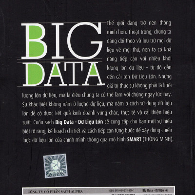 Dữ Liệu Lớn - Big Data (Quà Tặng Card đánh dấu sách đặc biệt)