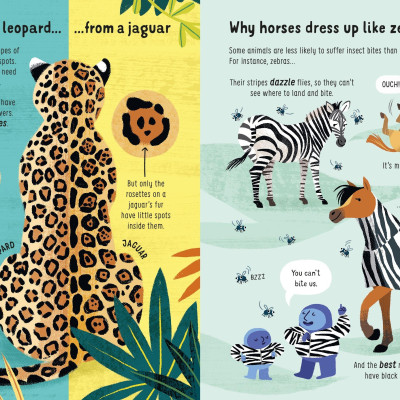 Lots Of Things To Know About Animals