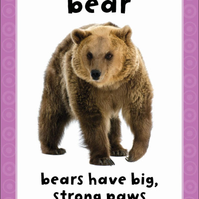 Get Set Go: Flashcards - Animals