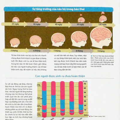 Dạy Con Kiểu Nhật - Giai Đoạn 0 Tuổi (Tái Bản)