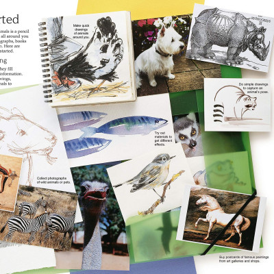 Sách tô vẽ tiếng Anh: Usborne Art Ideas Drawing Animals