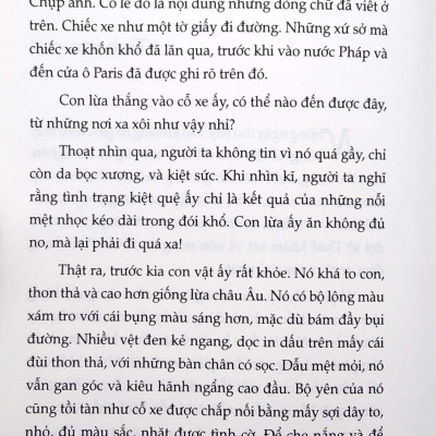 Trong Gia Đình (Tazano)