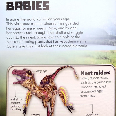 My Best Book Of Dinosaurs