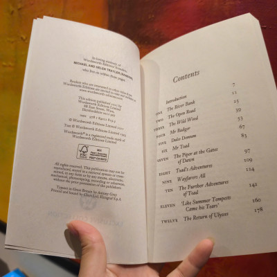 Sách - The Wind in the Willows by Kenneth Grahame - Classics/ Fiction /Childrens in English