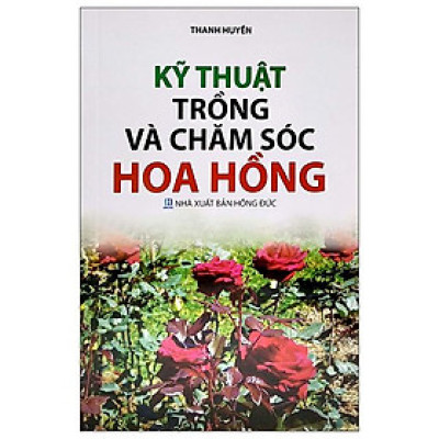 Kỹ Thuật Trồng Và Chăm Sóc Hoa Hồng