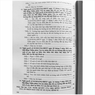 Sách Hệ Thống Các Nghị Quyết Của Hội Đồng Thẩm Phán Tòa Án Nhân Dân Tối Cao về Hình Sự, Tố Tụng Hình Sự (V2460T)