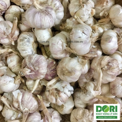 Tỏi củ to - 1kg - Bóc vỏ rất nhanh và dễ