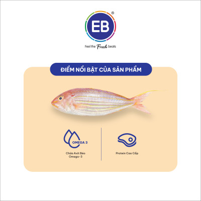 COMBO VIÊN THẢ LẨU 5 TRONG 1 _ STEAM BOAT 5IN1