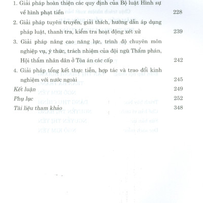 Hình Phạt Tiền Trong Pháp Luật Hình Sự Việt Nam Và Thực Tiễn Áp Dụng (Sách Chuyên Khảo)