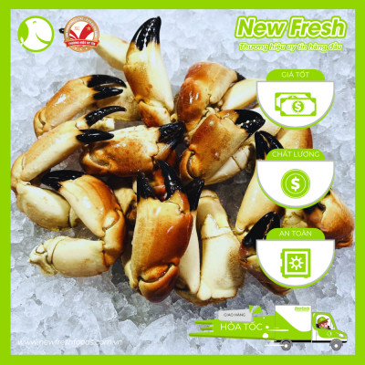 [GIAO NHANH HCM] Cua Nâu Nauy Siêu Gạch Đông Lạnh - 1 Con 500Gr