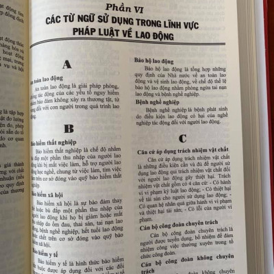 Từ điển pháp luật Việt Nam