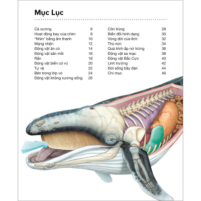 Động Vật - Hành Trình Khám Phá