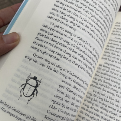 (Ấn bản đầy đủ nhất của Jean-Henri Fabre) CÔN TRÙNG KÝ – Tập 5 - Jean-Henri Fabre - An Lạc Group dịch – Huy Hoàng Bookstore – bìa mềm