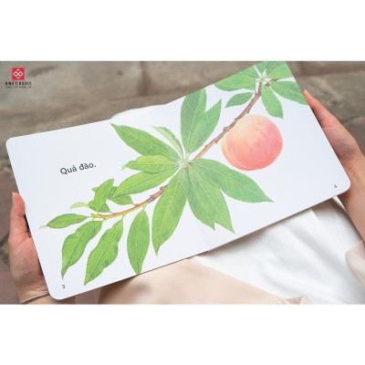 Sách Ehon - Ú Òa - Cho Trẻ 0 - 6 Tuổi - Đinh Tị Books