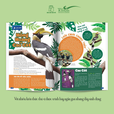 THẢO CẦM VIÊN SÀI GÒN - Kho Báu Trong Lòng Thành Phố (bìa mềm)