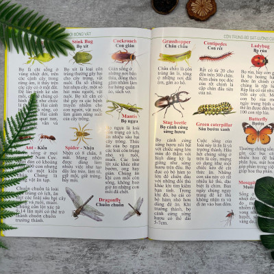 Bách khoa thư về thế giới động vật - Bìa cứng