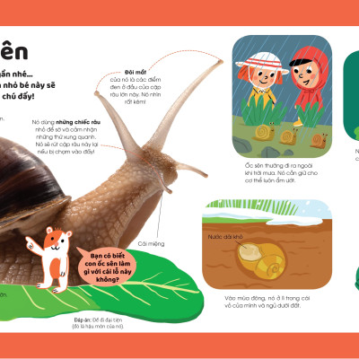 Sách - Khám Phá Đầu Tiên Của Tớ Về...Động Vật