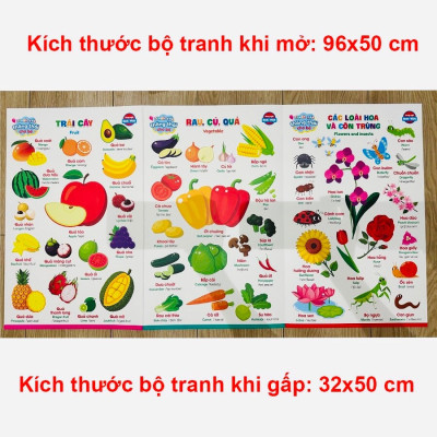 Bộ Tranh Gấp Thông Thái Cho Bé - Song Ngữ Anh Việt - 3 Tấm, 6 Mặt, 17 Chủ Đề, Kích Thước 96 x 50cm