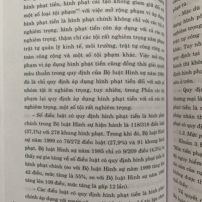 Sách - Hình phạt tiền trong pháp luật hình sự Việt Nam và thực tiễn áp dụng