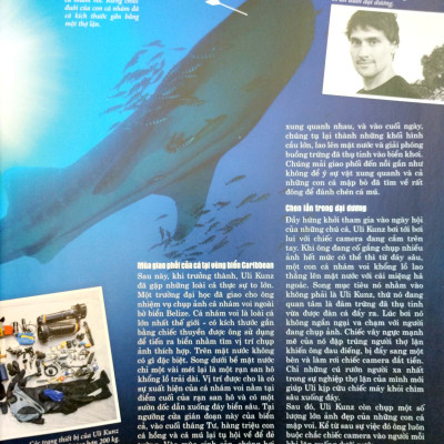 Thế Nào Và Tại Sao - Các Loài Cá - Thế Giới Diệu Kì Dưới Nước - Bìa Cứng (Tái Bản 2023)